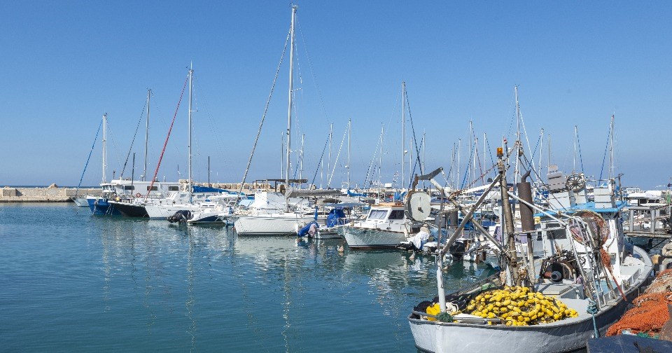 port of the Jaffa