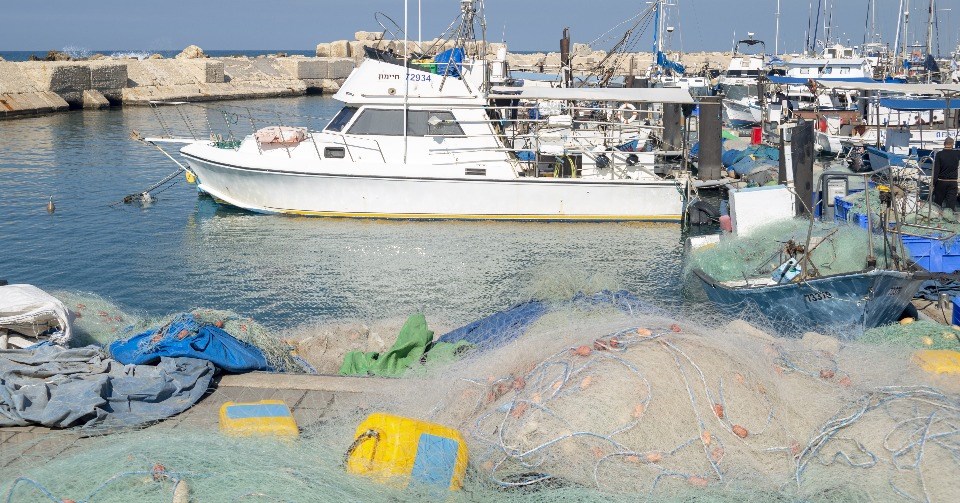 port of the Jaffa