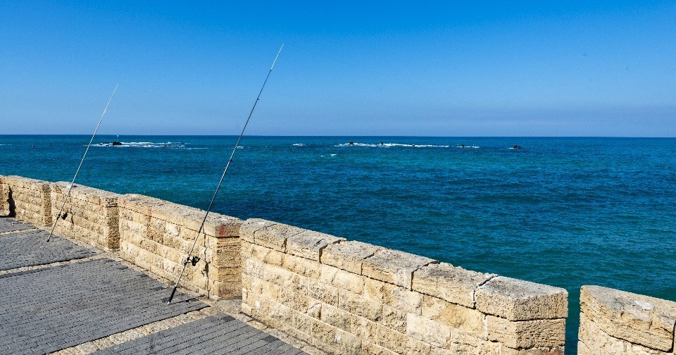 port of the Jaffa