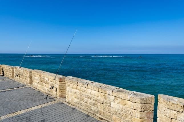 Jaffa port