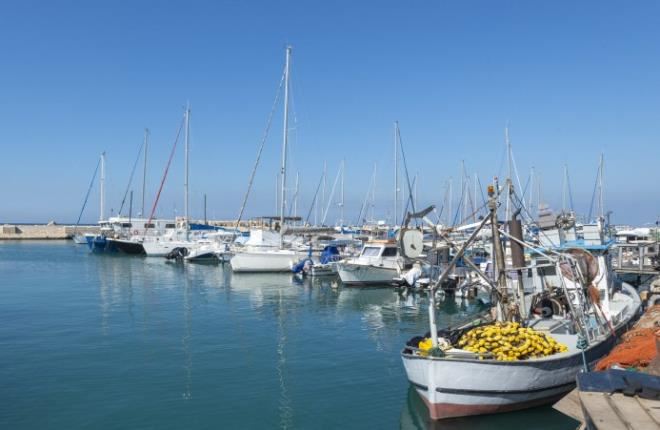 Jaffa port